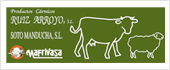 B45276946 - PRODUCTOS CARNICOS RUIZ ARROYO SL