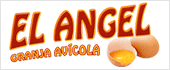 B45348943 - GRANJA AVICOLA EL ANGEL SL