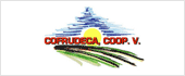 F46219317 - COFRUDECA COOP V