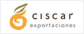 B46331682 - EXPORTACIONES CISCAR SL