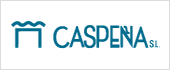 B47403878 - CONSTRUCCIONES Y OBRAS CASPEA SL
