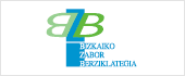 B48907885 - BIZKAIKO ZABOR-BERZIKLATEGIA SL
