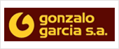 A58488065 - GONZALO GARCIA SA