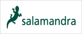 A58870510 - PUBLICACIONES Y EDICIONES SALAMANDRA SA