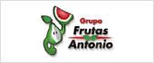 B60209384 - FRUTAS Y VERDURAS ANTONIO SL