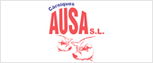 B60334695 - CARNIQUES AUSA SL