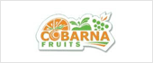 B60991502 - COBARNA FRUITS SL