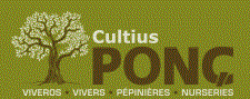 B62053806 - CULTIUS PONC SL