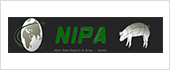 B62254602 - NIPA TRADING IMPORT EXPORT SL
