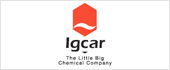 B63031009 - IGCARCHEMICALS SL