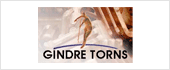 B63939482 - GINDRE TORNS SL