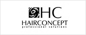 B65350597 - HAIRCONCEPT PROFESIONAL SL