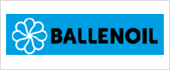 B65371171 - BALLENOIL SA B65371171 - BALLENOIL SA