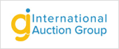 B65457319 - INTERNATIONAL AUCTION GROUP SL