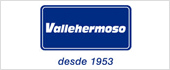 A79494233 - VALLEHERMOSO DIVISION PROMOCION SA