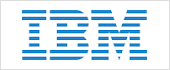 A81061301 - IBM GLOBAL SERVICES REDES DE ORDENADORES Y SERVICIOS SA