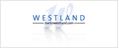 B81121964 - MARTIN WESTLAND SOLUCIONES GRAFICAS SL