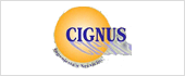 B82072885 - CIGNUS INGENIERIA DEL SOFTWARE SL 