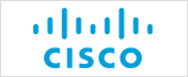 B83448175 - CISCO SYSTEMS CAPITAL SPAIN SL