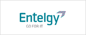 A83456202 - ENTELGY CONSULTING SA