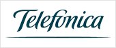 B83616920 - TELEFONICA INTERNATIONAL WHOLESALE SERVICES SL