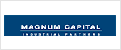 B84768761 - MAGNUM INDUSTRIAL PARTNERS SL