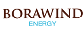 B86283397 - BORA WIND ENERGY MANAGEMENT SL