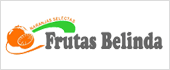 B91351023 - FRUTAS BELINDA SOCIEDAD DE RESPONSABILIDAD LIMITADA