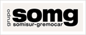 B91705731 - GRUPO SOMISUR-GREMOCAR SL
