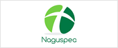 B95389367 - NAGUSPEA SL