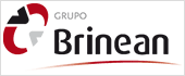 B95454229 - GRUPO BRINEAN SL