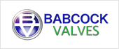 A95655114 - BABCOCK VALVES SA
