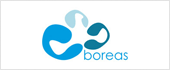 B98295801 - BOREAS EFFICIENT MANAGEMENT SL