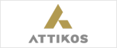 B98738925 - DISFRUTA ATTIKOS SL