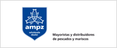 B99388100 - A M P Z ZARAGOZA SPAIN SL